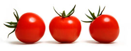 Tomater fra drivhuset