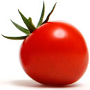 Cherrytomater - en velsmagende og børnevenlig tomatsort